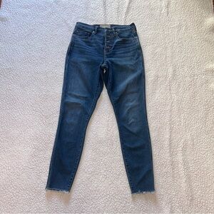 Everlane Classic Indigo Skinny Jeans